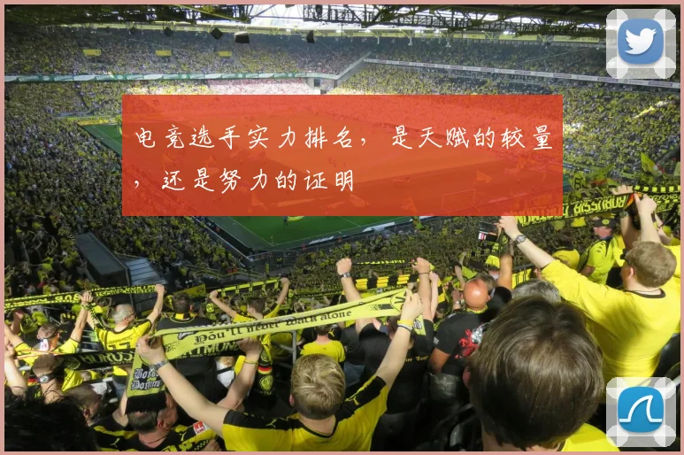 电竞选手实力排名，是天赋的较量，还是努力的证明