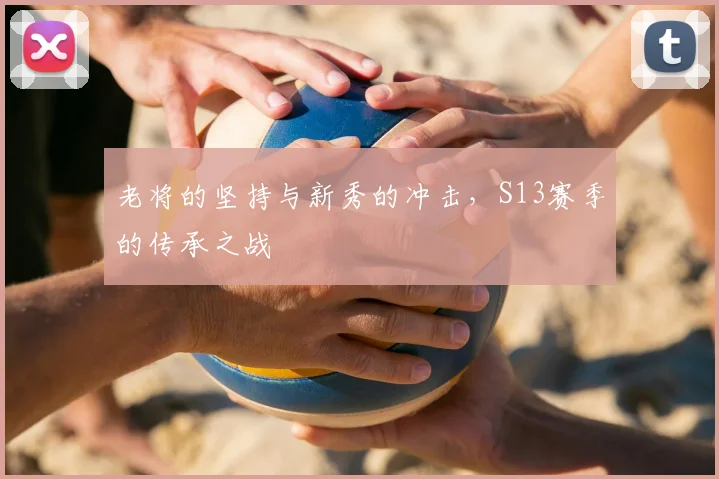 老将的坚持与新秀的冲击,S13赛季的传承之战